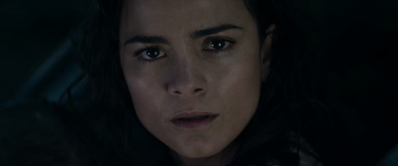 Elysium (2013) BD Hindi + English 720p 10bit x265 HEVC HE-AAC 5.1 ESub.mkv.0003